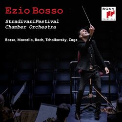 Cover of StradivariFestival Chamber Orchestra