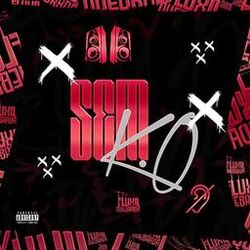 Cover of Sem K O
