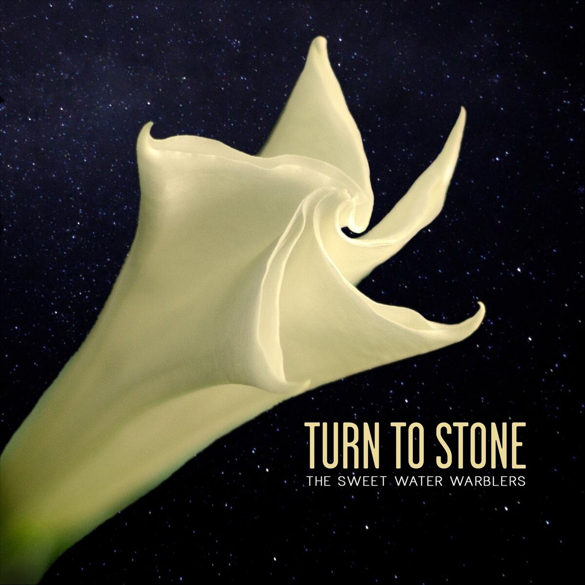 Album cover of Turn to Stone