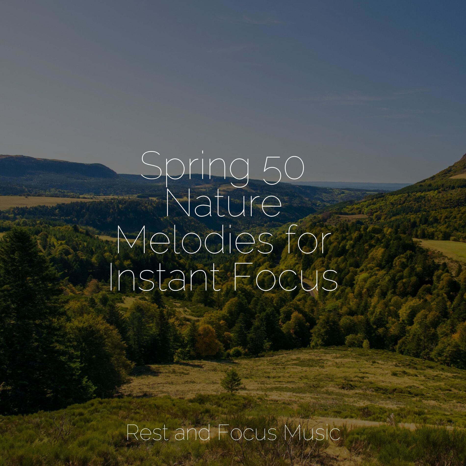 Album cover of Spring 50 Nature Melodies for Instant Focus
