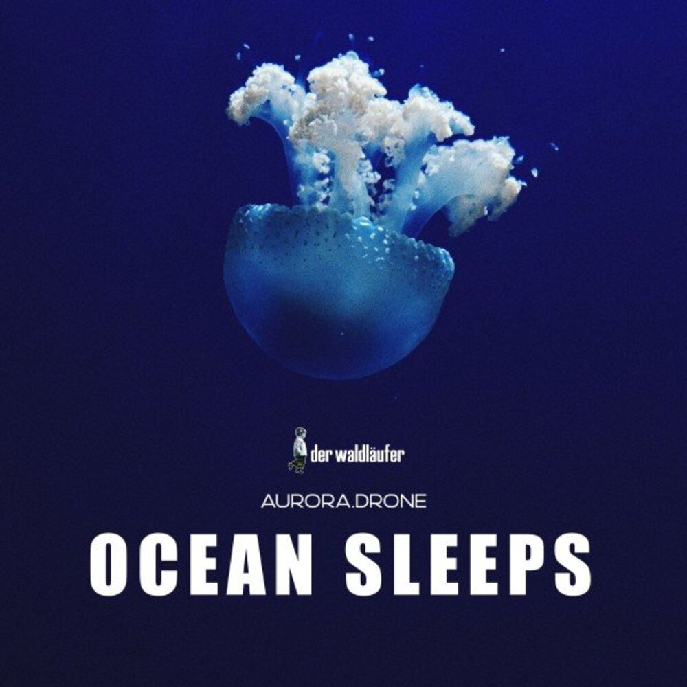 Picture of Ocean Sleeps (432Hz Version)