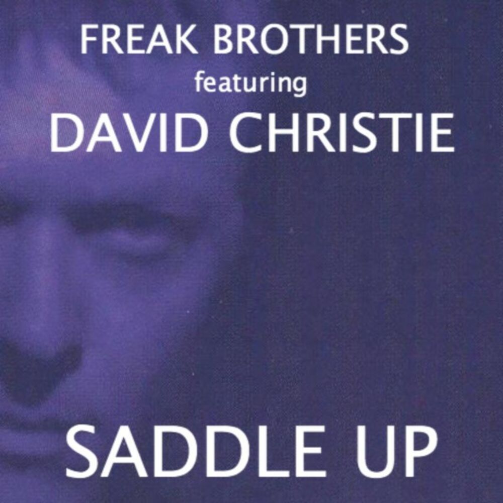 Picture of Saddle Up