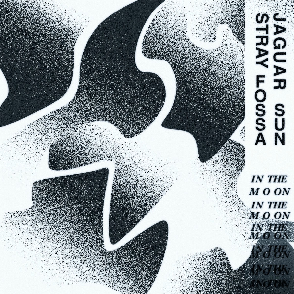 Album cover of In The Moon
