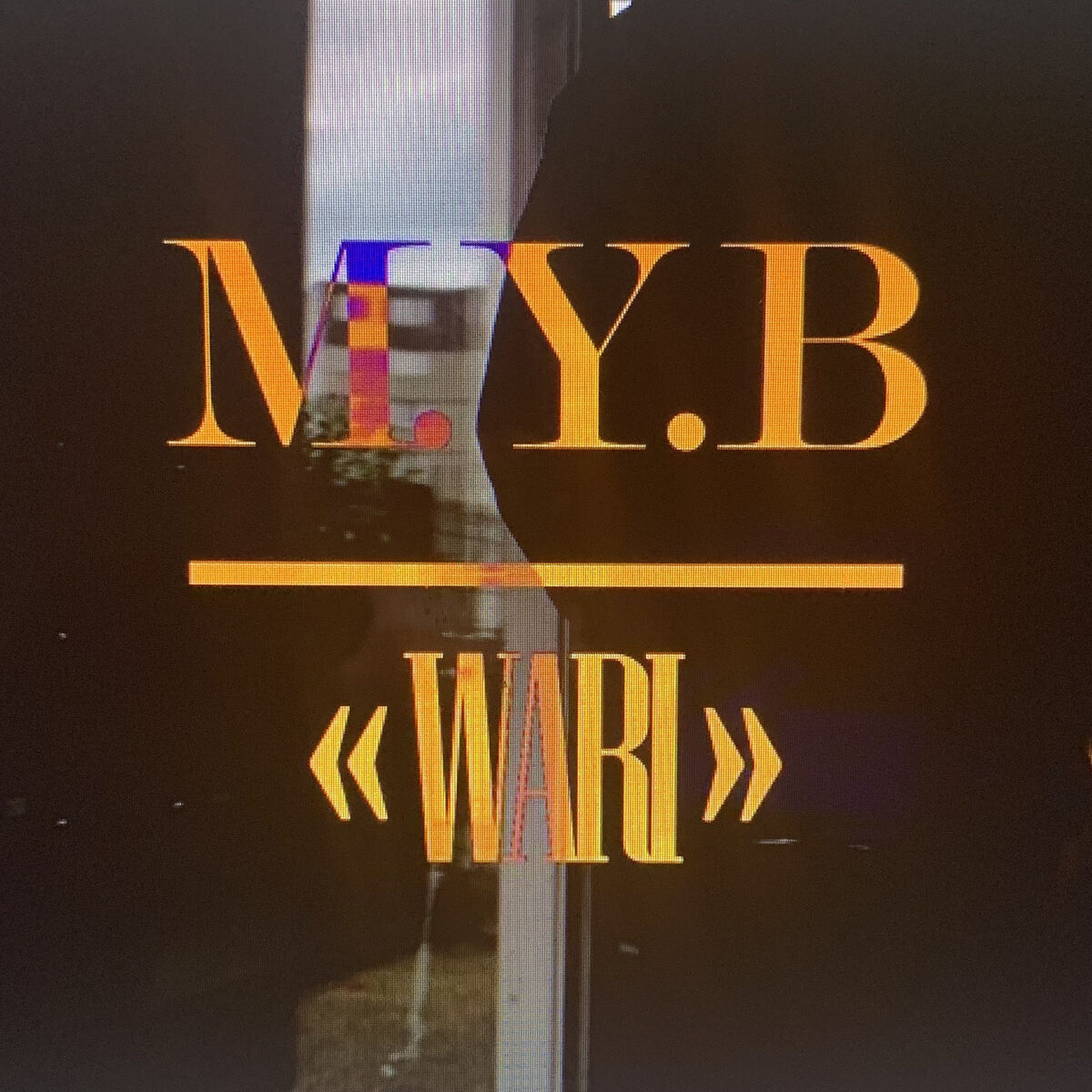 Album cover of Wari