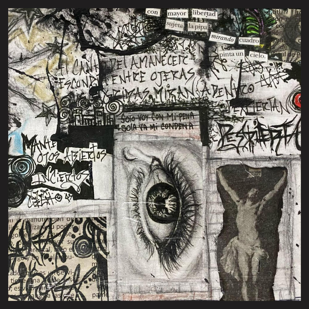 Punk by Desechos Sonicos cover