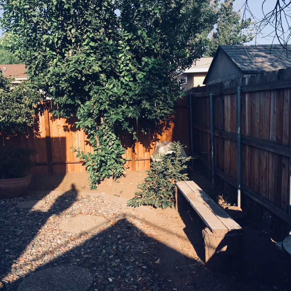 Picture of She Never Calls.