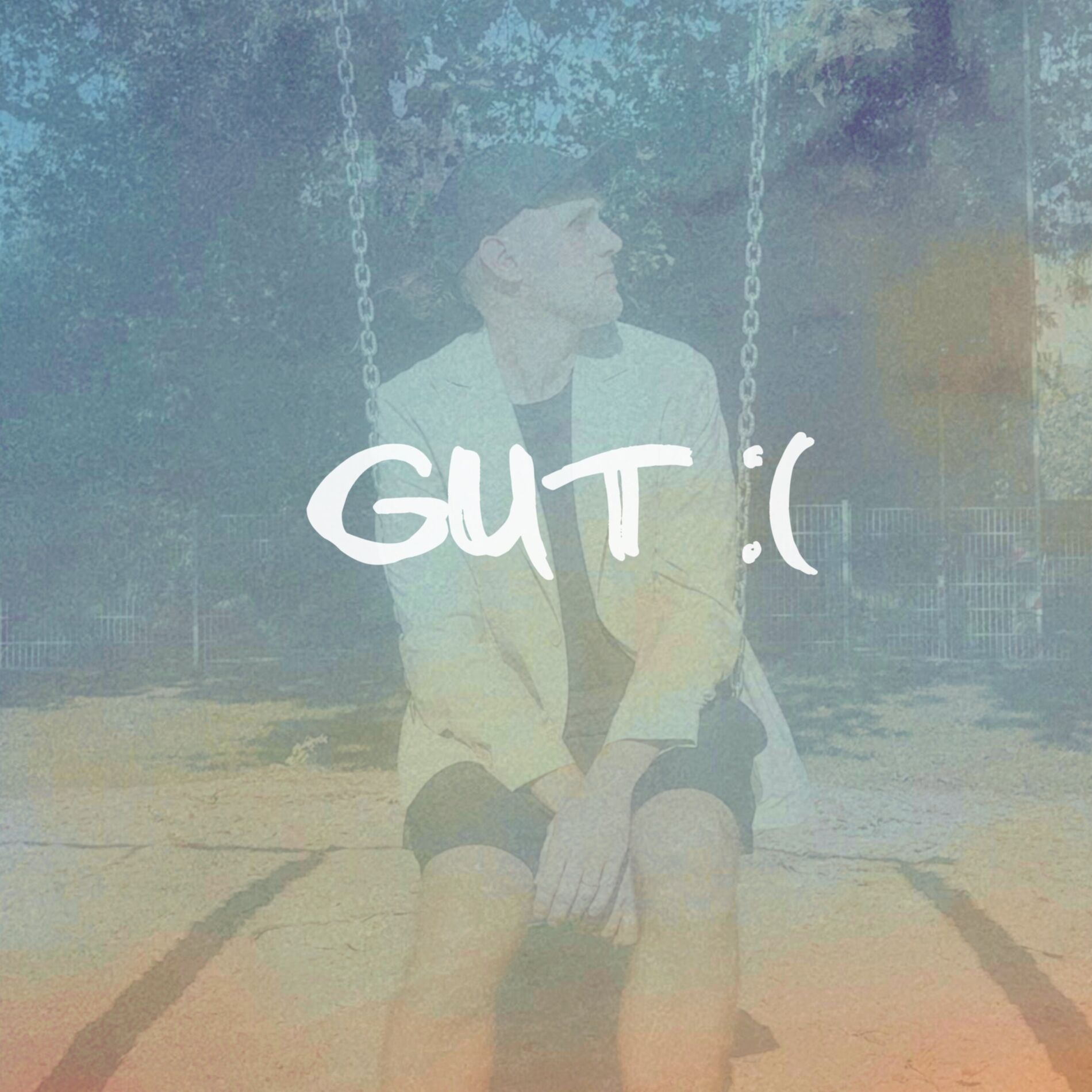 Album cover of Gut :(