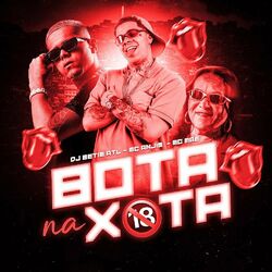 Cover of Bota na Xota