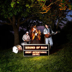 Cover of Best Intentions