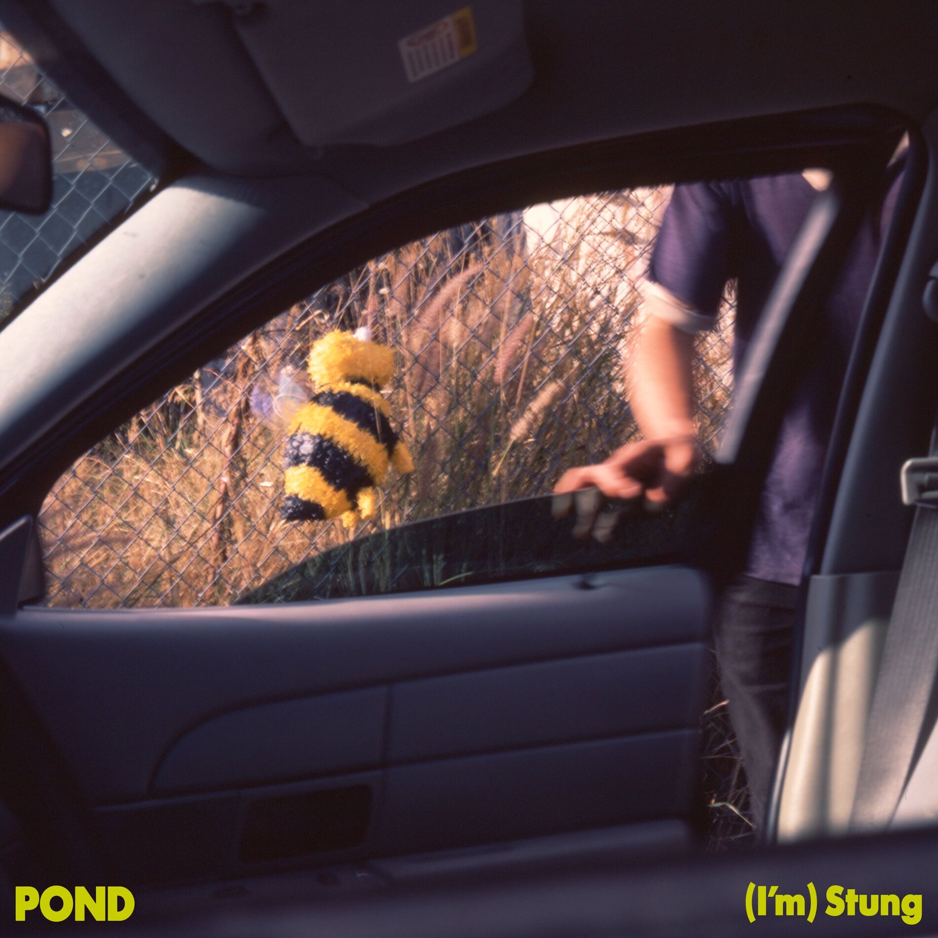 Album cover of (I’m) Stung