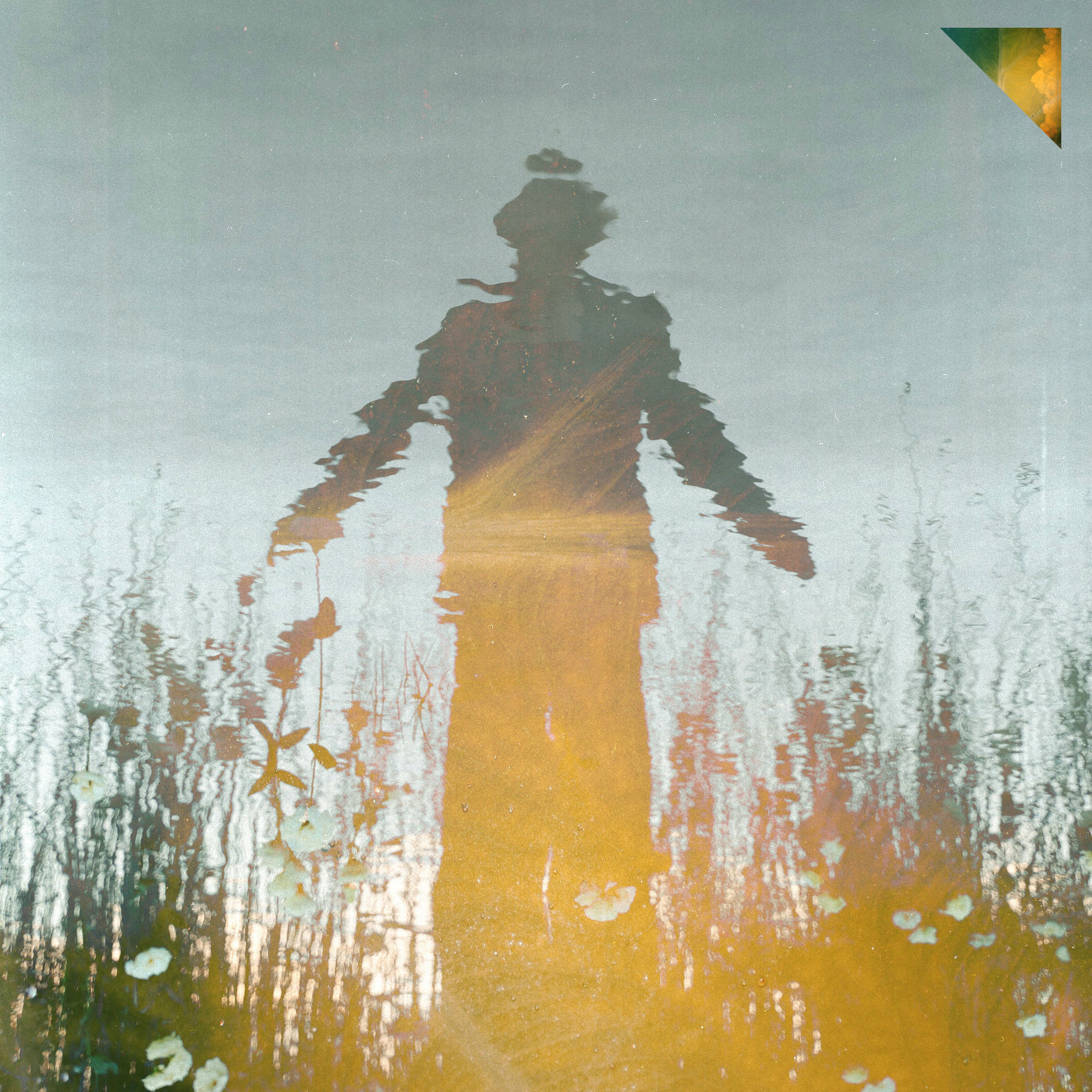 Album cover of Paraná River