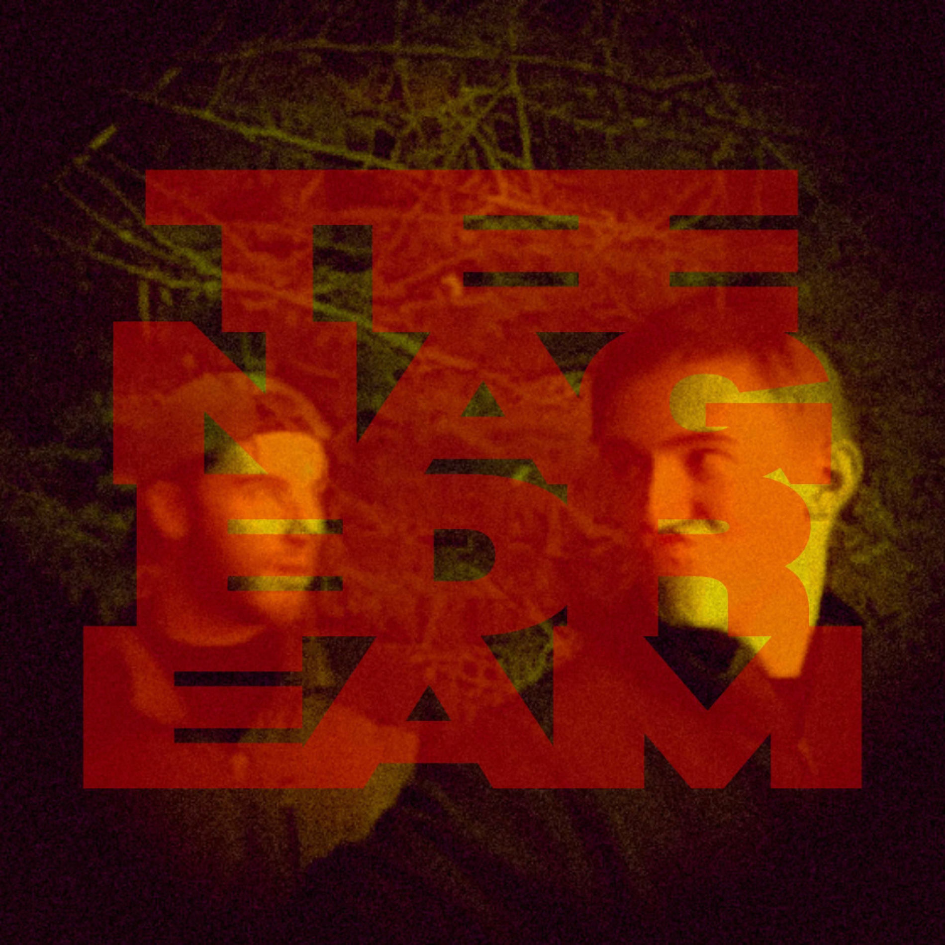 Album cover of Teenage Dream (feat. Mike & Steve)