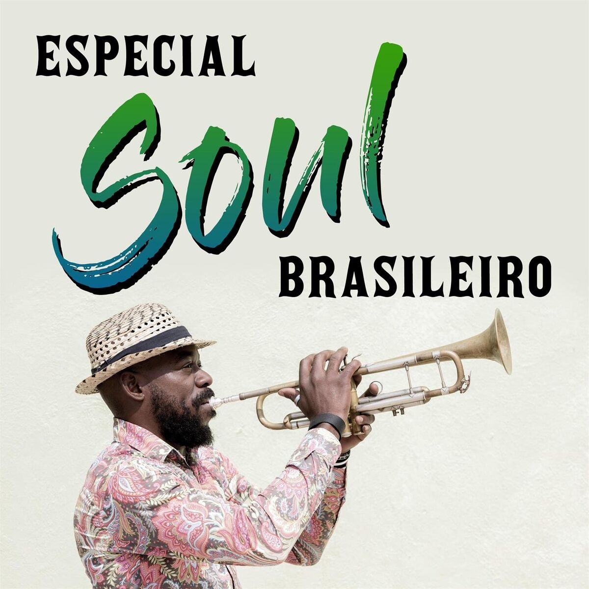 Album cover of Especial Soul Brasileiro