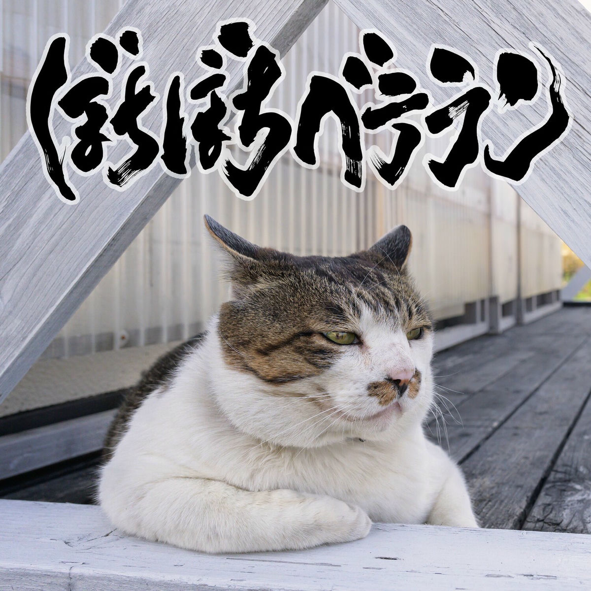 打首獄門同好会: albums, songs, concerts | Deezer