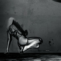 Cover of Where Did the Night Fall (Deluxe Edition)
