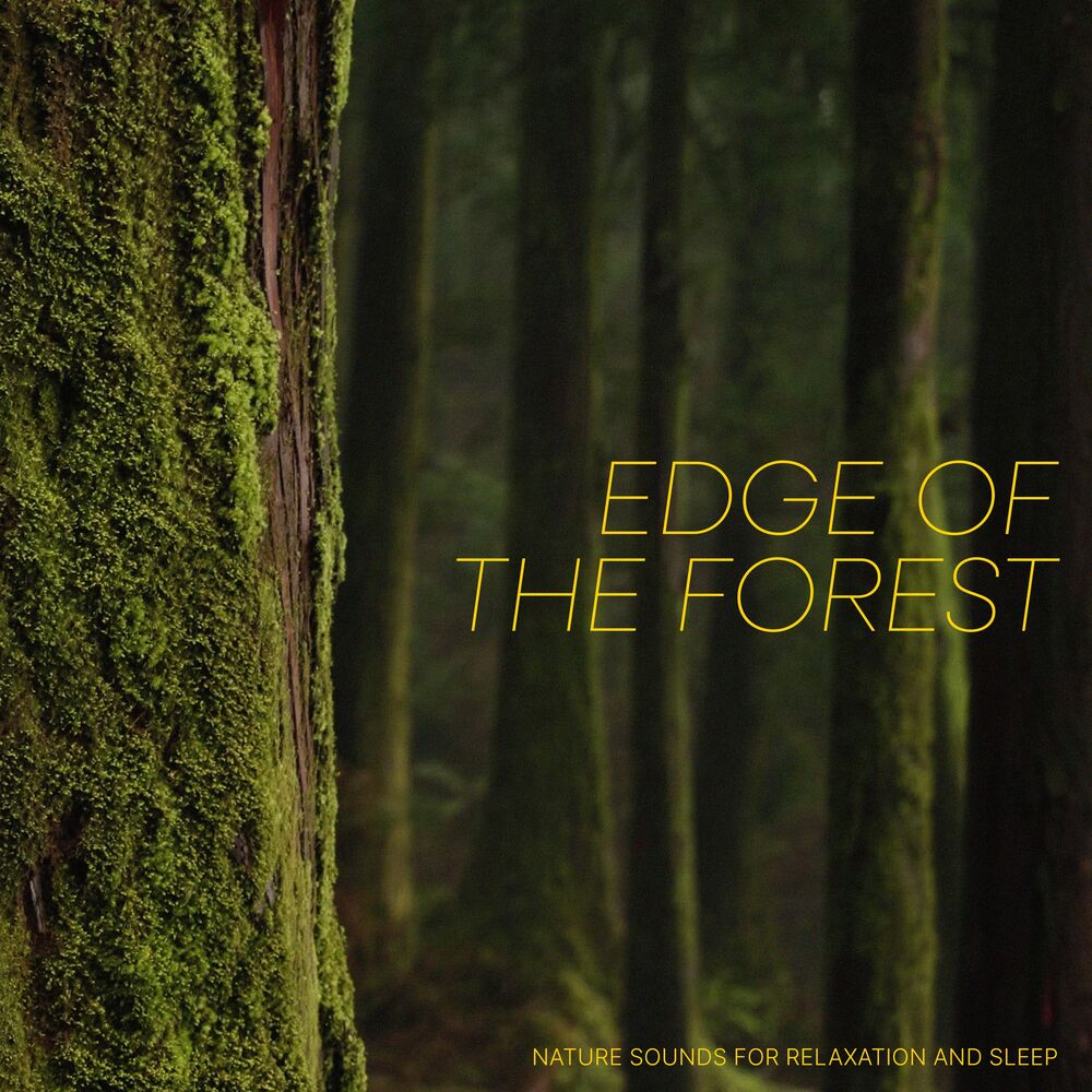 Picture of Edge of the Forest