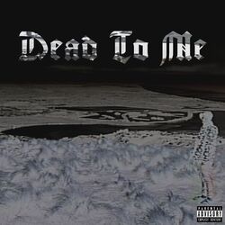 music cover
