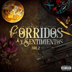 Cover of Corridos y Sentimientos (Vol 2)