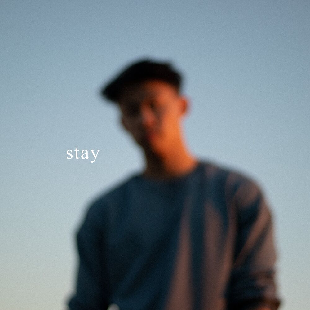 Picture of Stay (feat. Annisya)