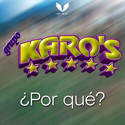 Cover of ¿Por qué?