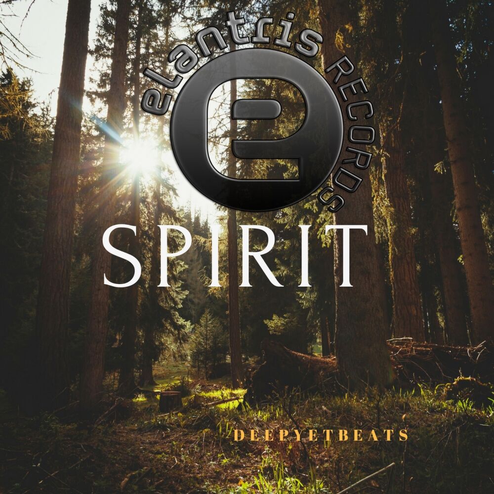 Picture of Spirit