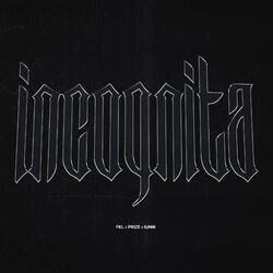 Cover of Incognita