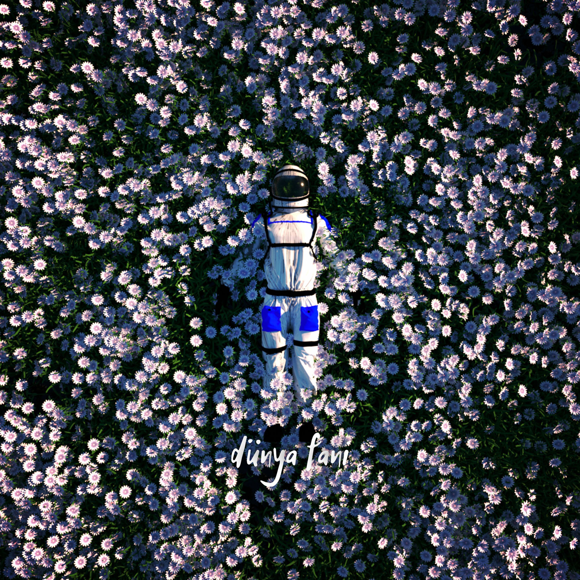 Album picture of Dünya Fani