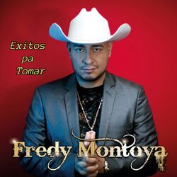 Cover of Éxitos pa Tomar