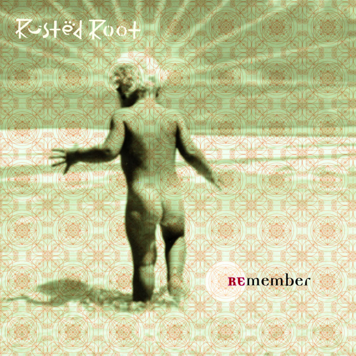 Album cover of Remember