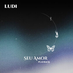 Cover of Seu Amor (Playback)