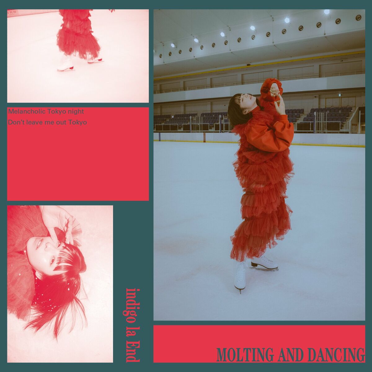 Album cover of MOLTING AND DANCING