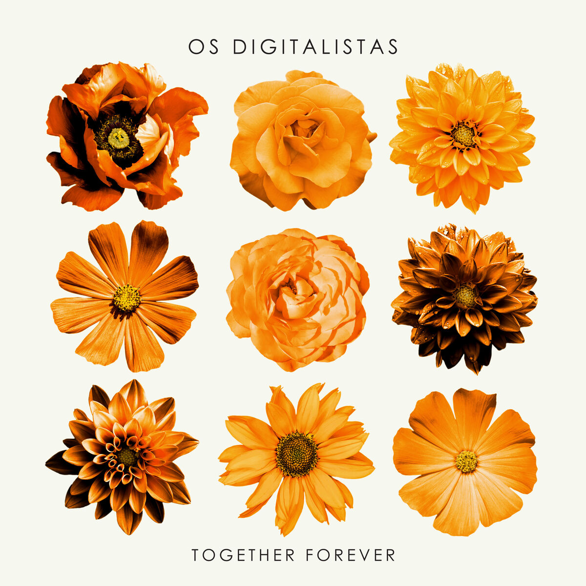 Album cover of Together Forever