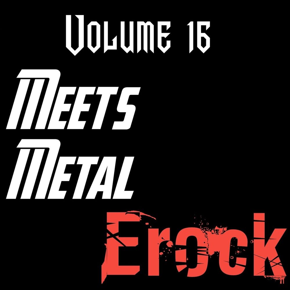 Picture of Meets Metal Vol. 16
