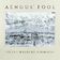 Aengus' Fool