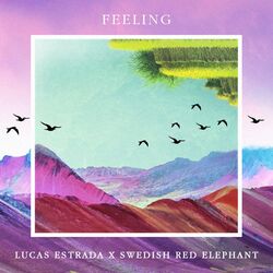 Cover of Feeling