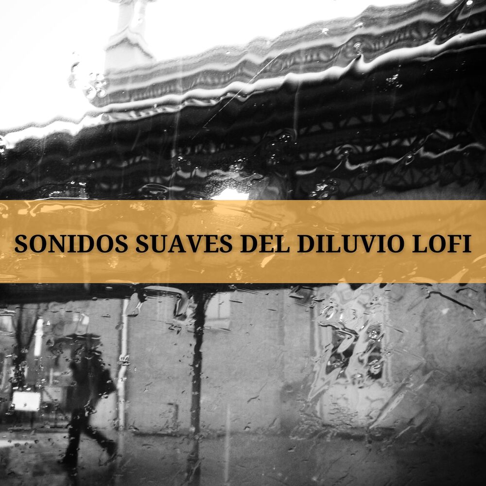 Picture of Sonidos Suaves Del Diluvio Lofi
