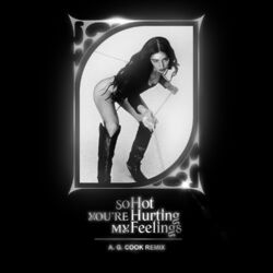Cover of So Hot You're Hurting My Feelings (A. G. Cook Remix)