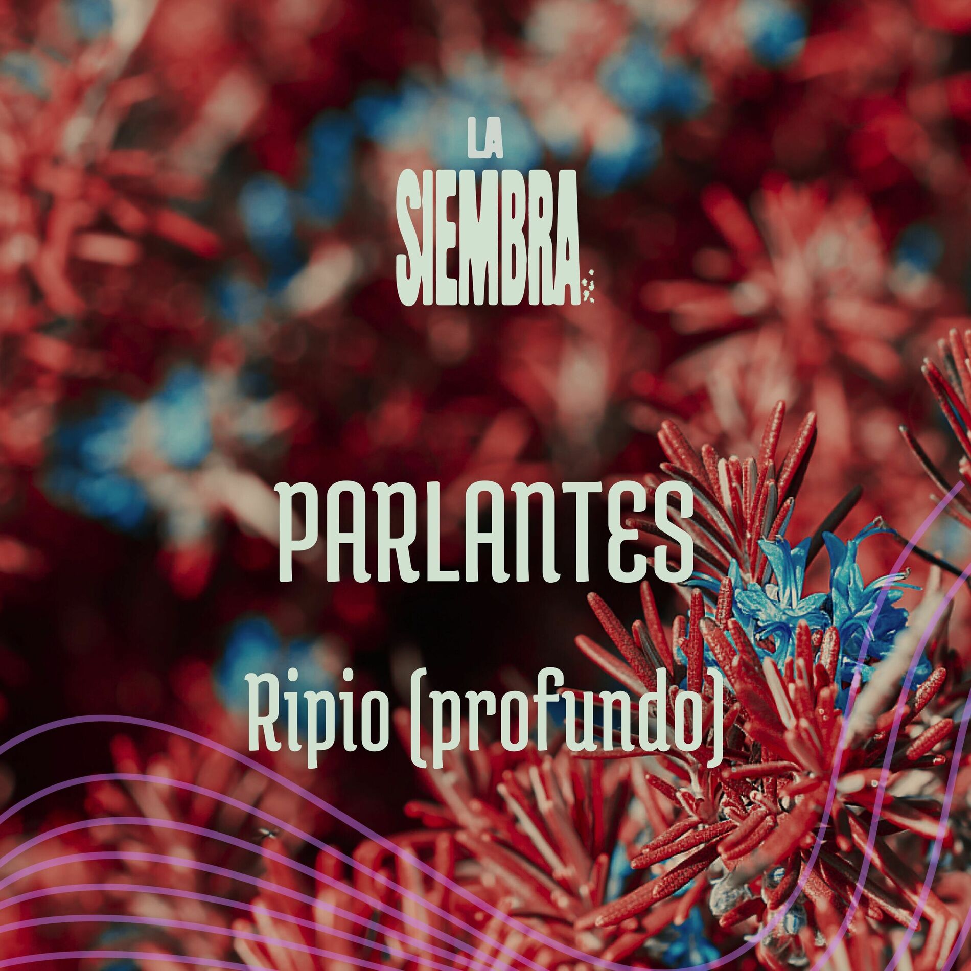 Album cover of Ripio (Profundo)
