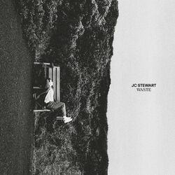 Cover of Waste