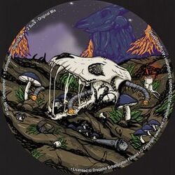 music cover