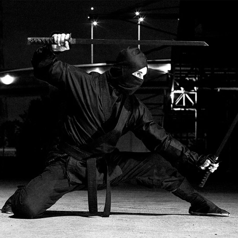 Picture of Ninja