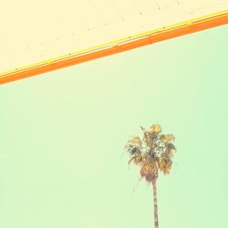 Cover of Backdrop for Long Vacations - Bossanova