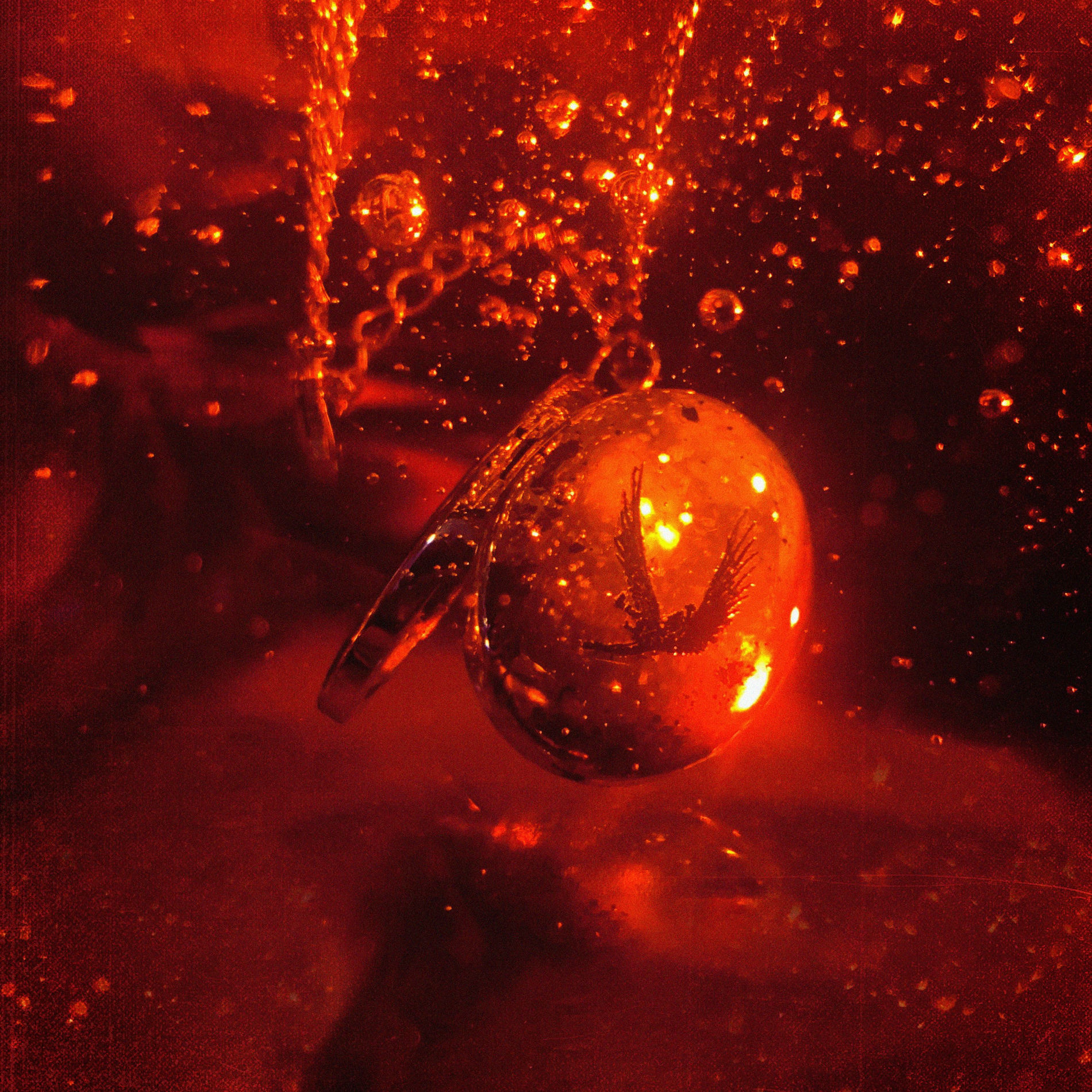 Album cover of Dark Love (ft. Aaron Gillespie)