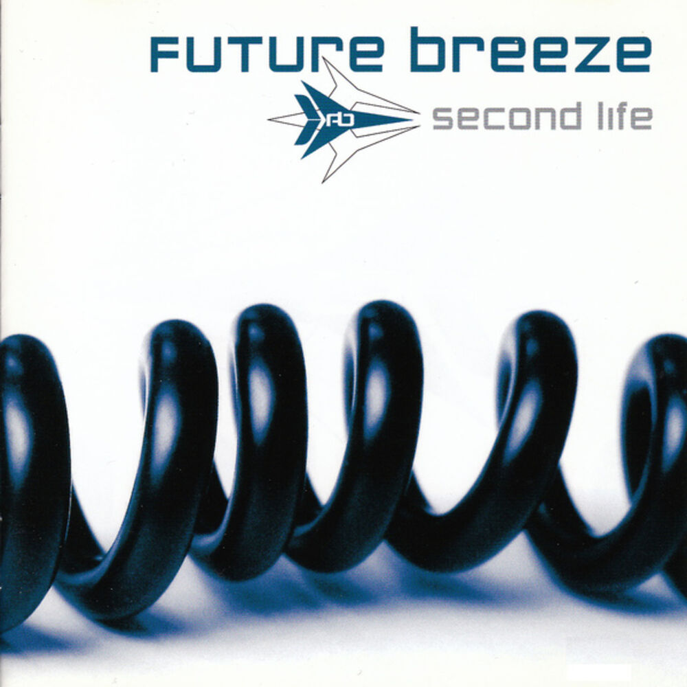Picture of Second Life