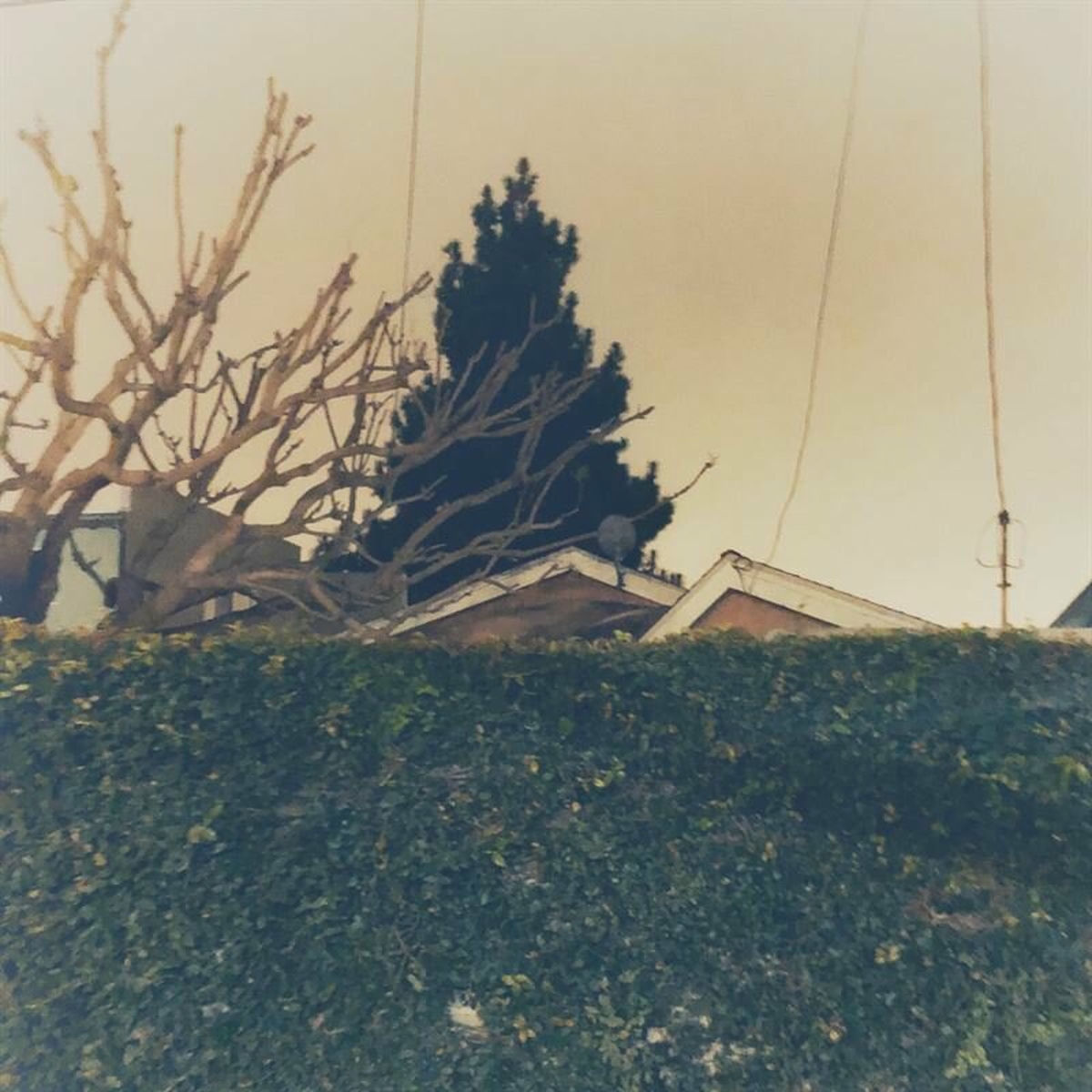 Album cover of Feels Like We Only Go Backwards