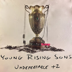 Cover of Undefeatable +2