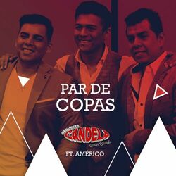 Cover of Par de Copas