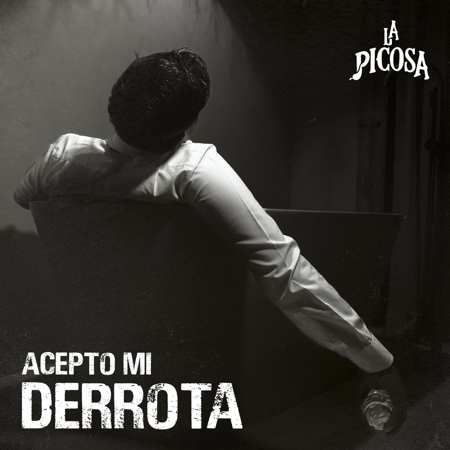 Album cover of Acepto Mi Derrota
