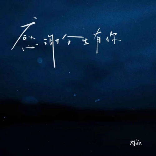 感谢今生有你 (加速版)