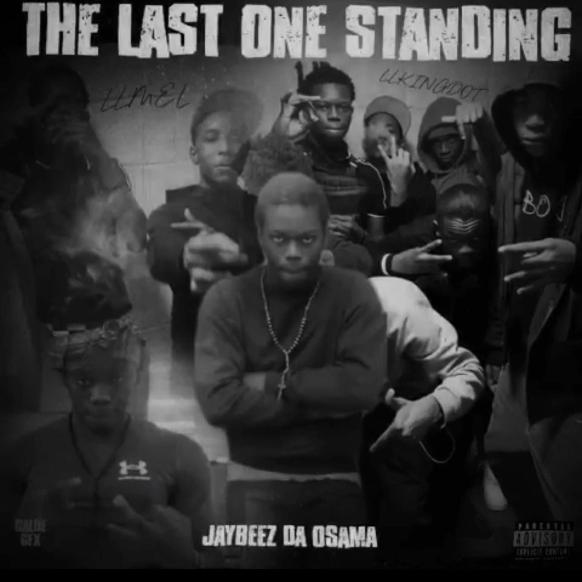 Album cover of The Last One Standing